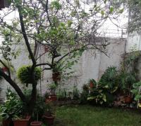 areas verdes interior