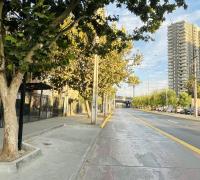Calle 