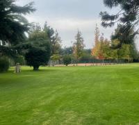 jardines
