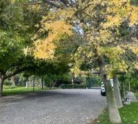 jardines