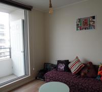 living comedor