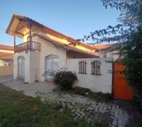 Frontis