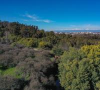 Terreno en venta en Talca, 5200 m² en Cerro de la Virgen con vistas a la cordillera e ideal para proyectos habitacionales.