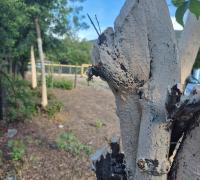 Una perspectiva al patio