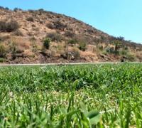 Vista desde la sepultura