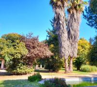 Fachada casa y piscina