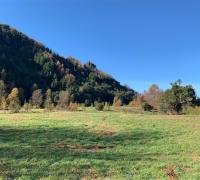 TERRENO PLANO