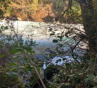 RIO FUY 2500 MTS ORILLA