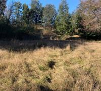 TERRENO PLANO Y LOMAJES