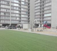 cancha