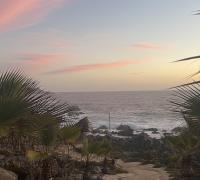 Camino hacia la playa
