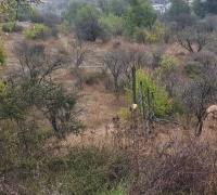 terreno