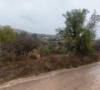 frente del terreno