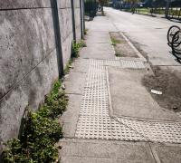 VEREDA