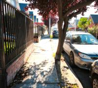 VEREDA