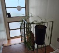 CAJA ESCALA