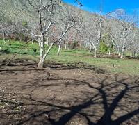 Amplitud del terreno