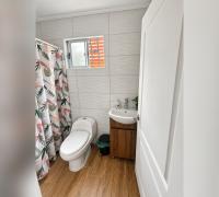 Baño con inodoro, lavamanos, piso de apariencia madera y ducha,