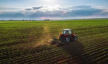 Terreno agricola