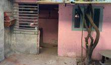 Patio -bodega
