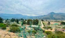 VISTAS