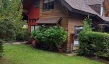 Frontis 2