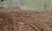 PARCELA CON MANTENCIÓN RECIÉN REALIZADA