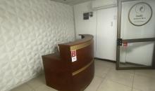 Recepción 