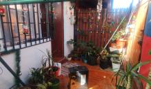 antejardin