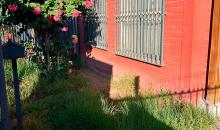 ENTRADA