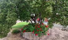 HERMOSOS JARDINES