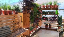 HERMOSA TERRAZA DE ACCESO A LA CASA, PARA DISFRUTAR  EL CALIDO CLIMA DEL SECTOR