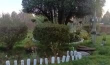 ANTE JARDIN DE CASA CON VARIADA VEGETACION Y ARBOLES