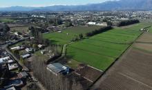 Vista aérea de parcelas agrícolas en Loteo Los Álamos, Rengo