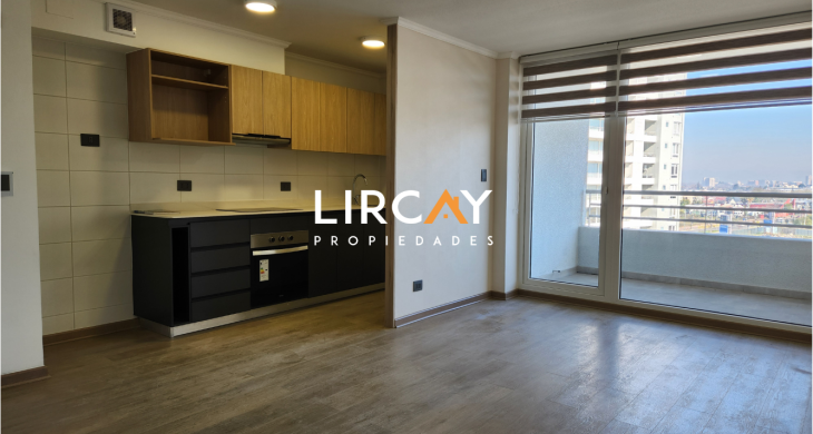 Amplio living comedor