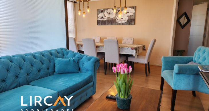 hermoso y espacioso living comedor