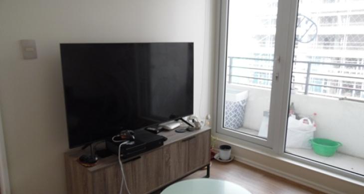 living comedor