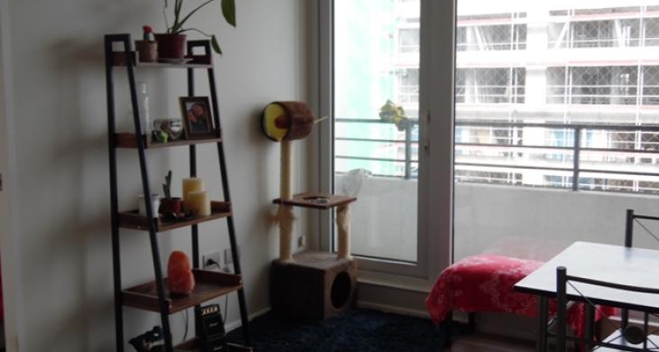 living comedor