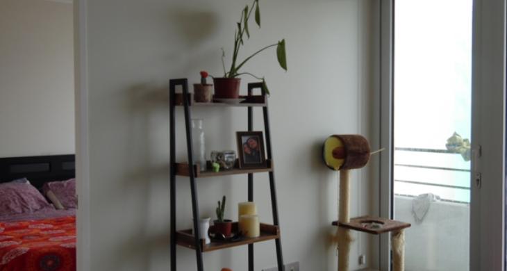 living comedor