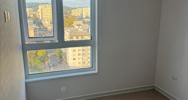 Dormitorio principal