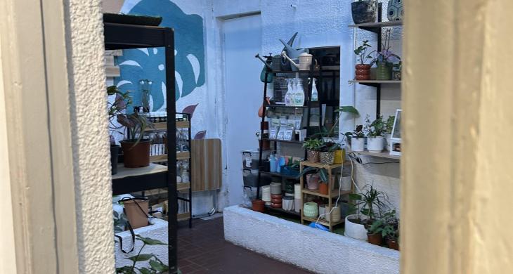 camino de acceso al local a traves de área abierta donde se exponen articulos