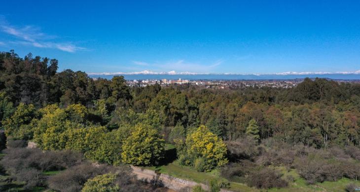 Terreno en venta en Talca, 5200 m² en Cerro de la Virgen con vistas a la cordillera e ideal para proyectos habitacionales.