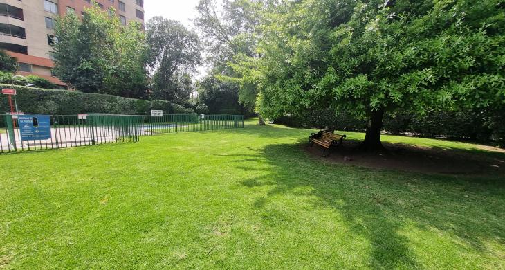 Areas verdes del edificio.