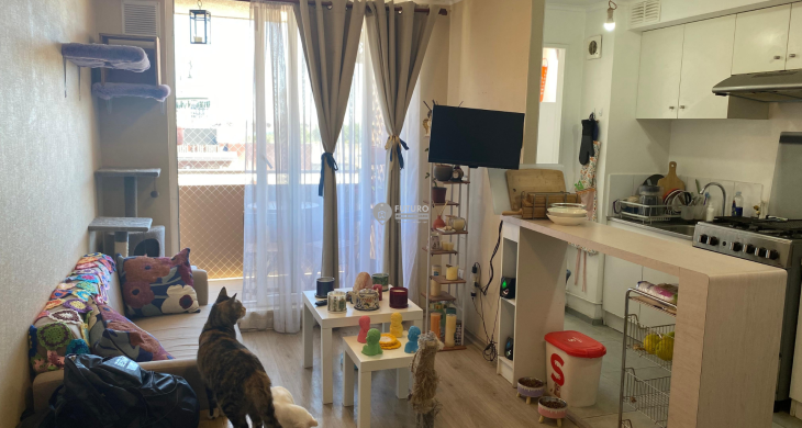 living cocina americana