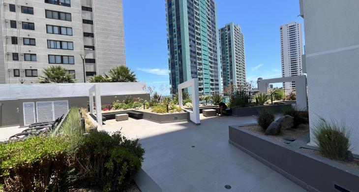 patio, jardin, area verde.