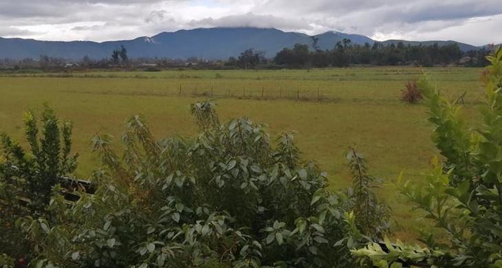 vista sala multiusos 