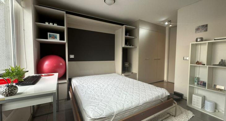 Espacio 2 en 1: Dormitorio en suite y sector de estar/escritorio