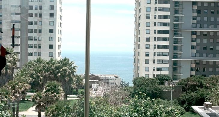 Vista despejada desde el departamento, mostrando el entorno abierto y la luminosidad natural del sector.