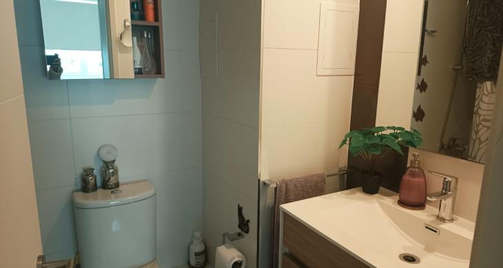 Baño del departamento, con lavamanos, tina y terminaciones en buen estado, iluminado y funcional