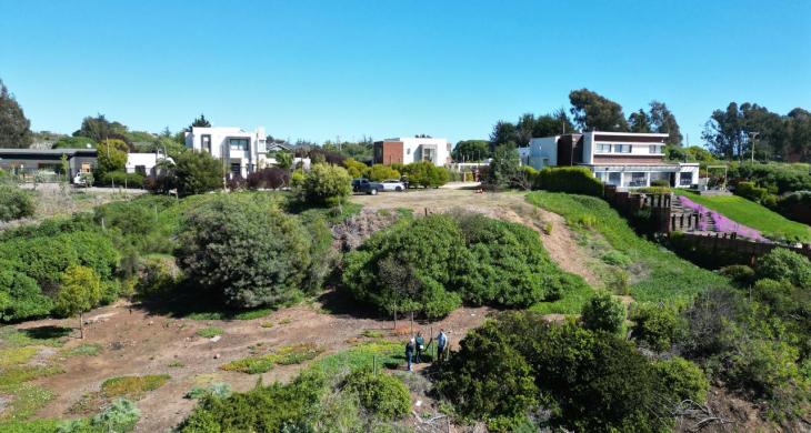 Entorno natural y aire puro: la tranquilidad que buscas a solo minutos de la ciudad